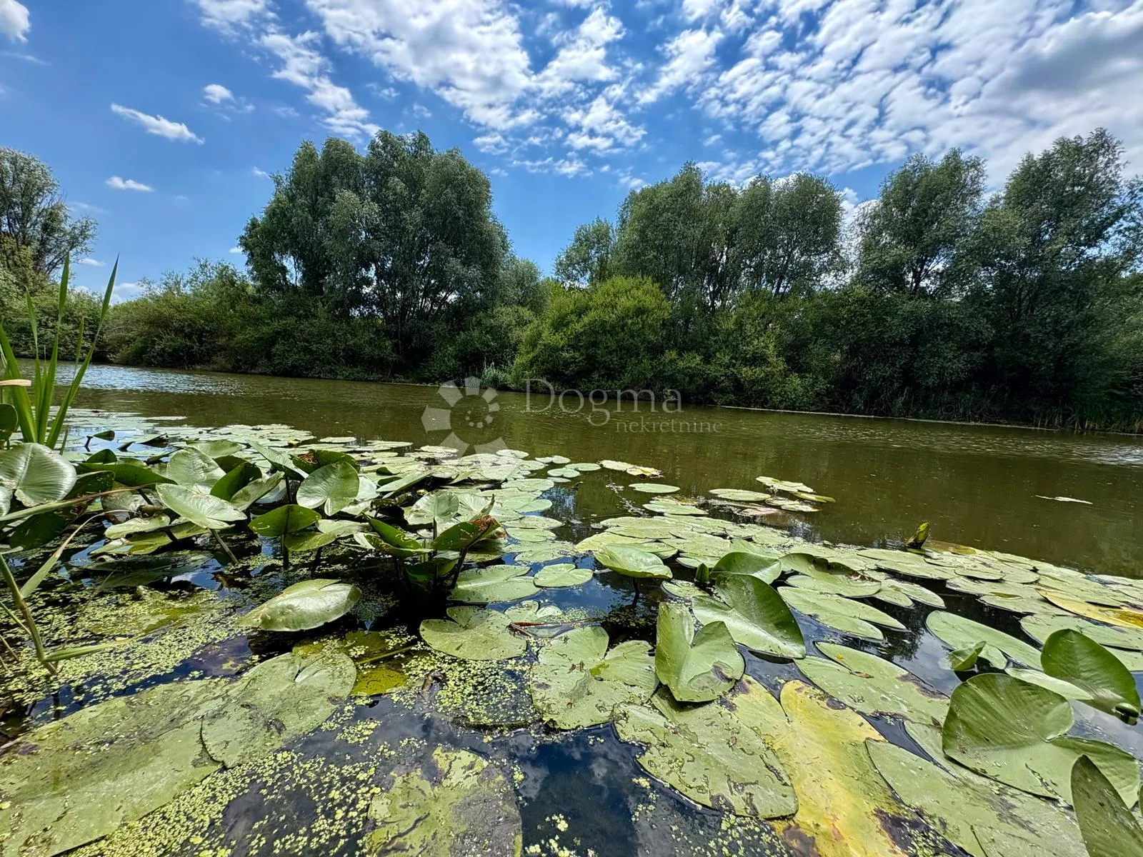 atraktivno imanje s ribnjakom i turističkim potencijalom - slika 22
