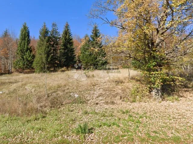 GORSKI KOTAR, građevinska parcela STARI LAZ - Stari Laz, Ravna Gora