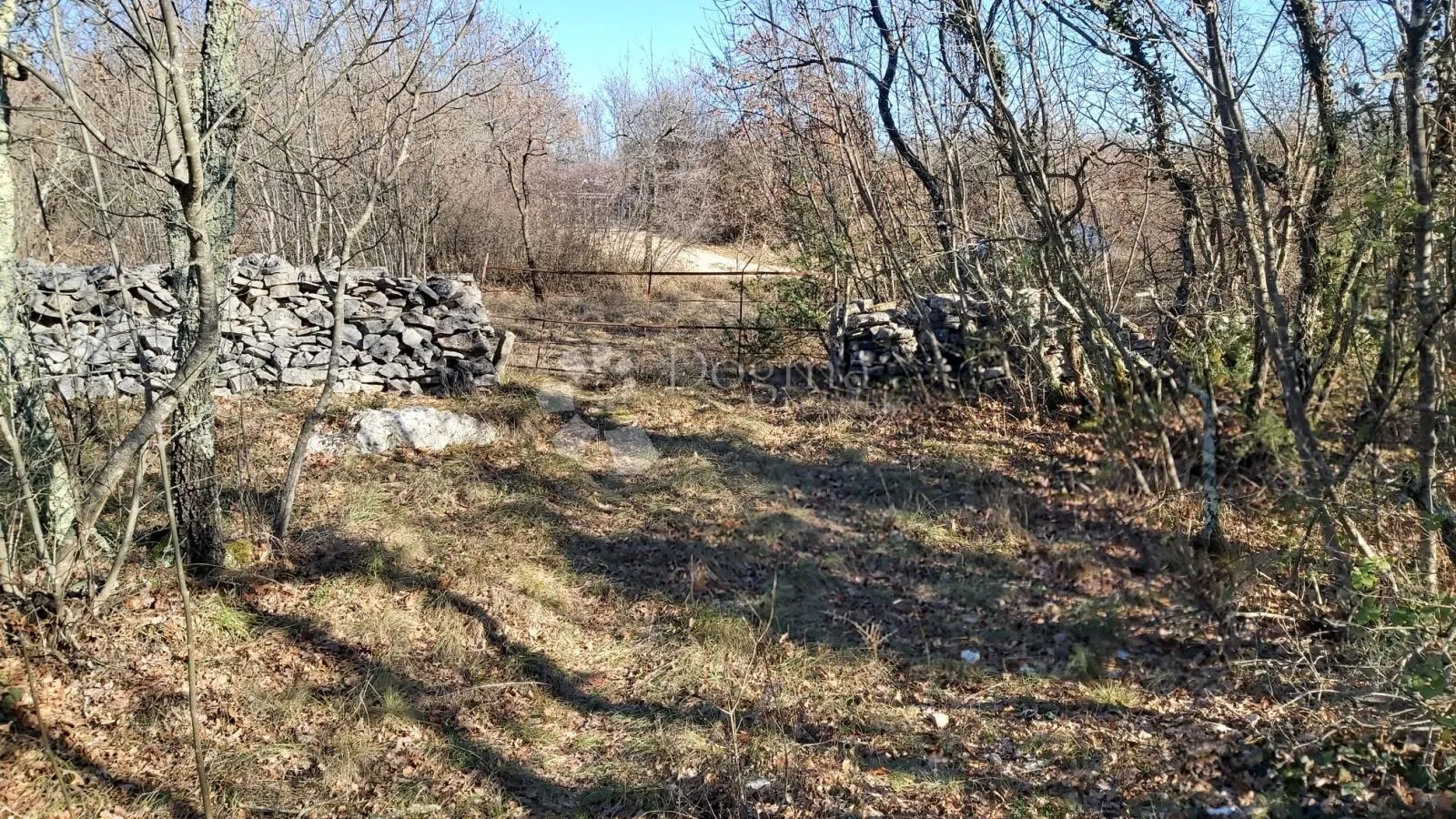 poljoprivredno zemljište šajini - slika 3