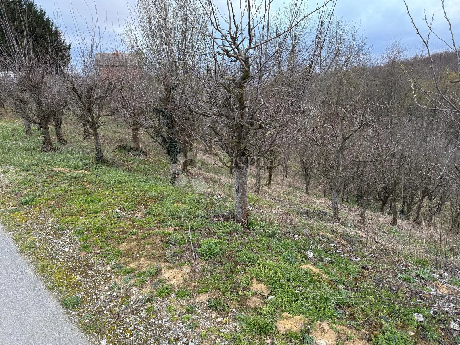 zemljište u črešnjevu - slika 1