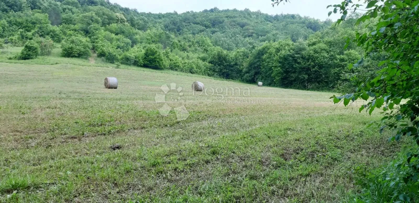 veliko imanje sa dvije kuće s ogromnim potencijalom - središnja istra - slika 4