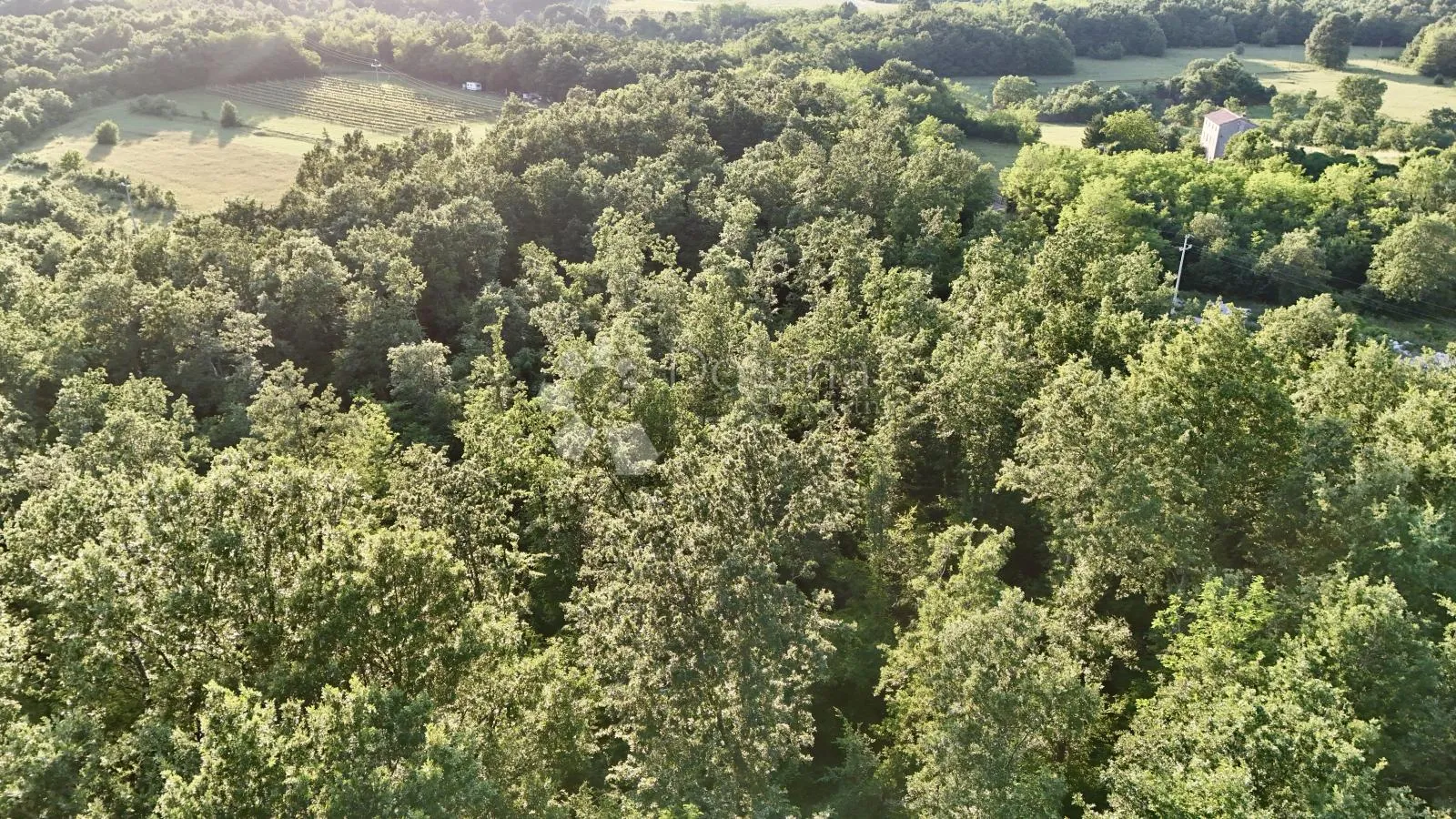 poljoprivredno zemljište / šuma u okolici labina - slika 6