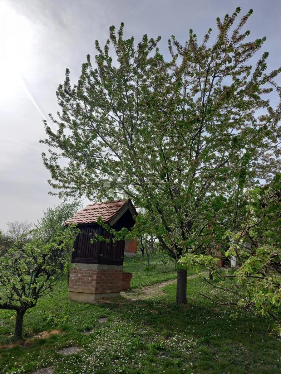 našice - bajkovita kuća u blizini jezera lapovac - slika 18