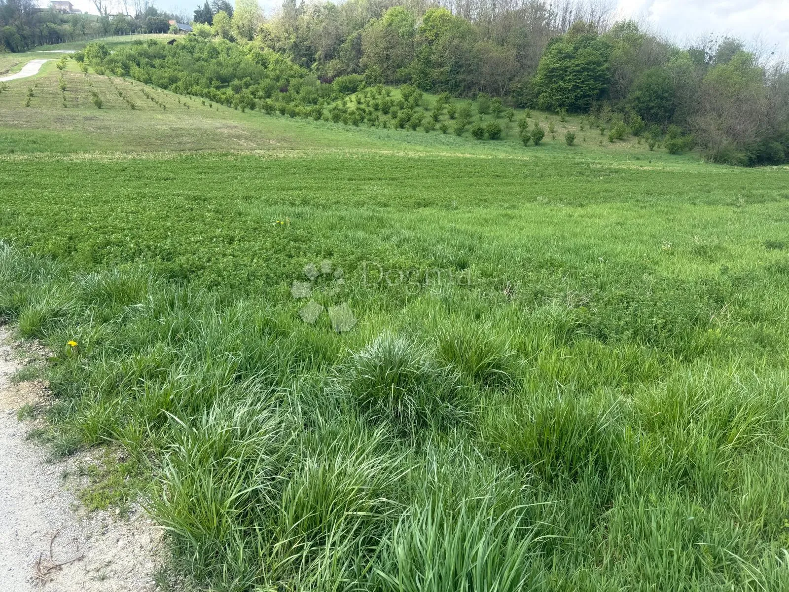zemljište - bliža okolica novi marof - slika 5