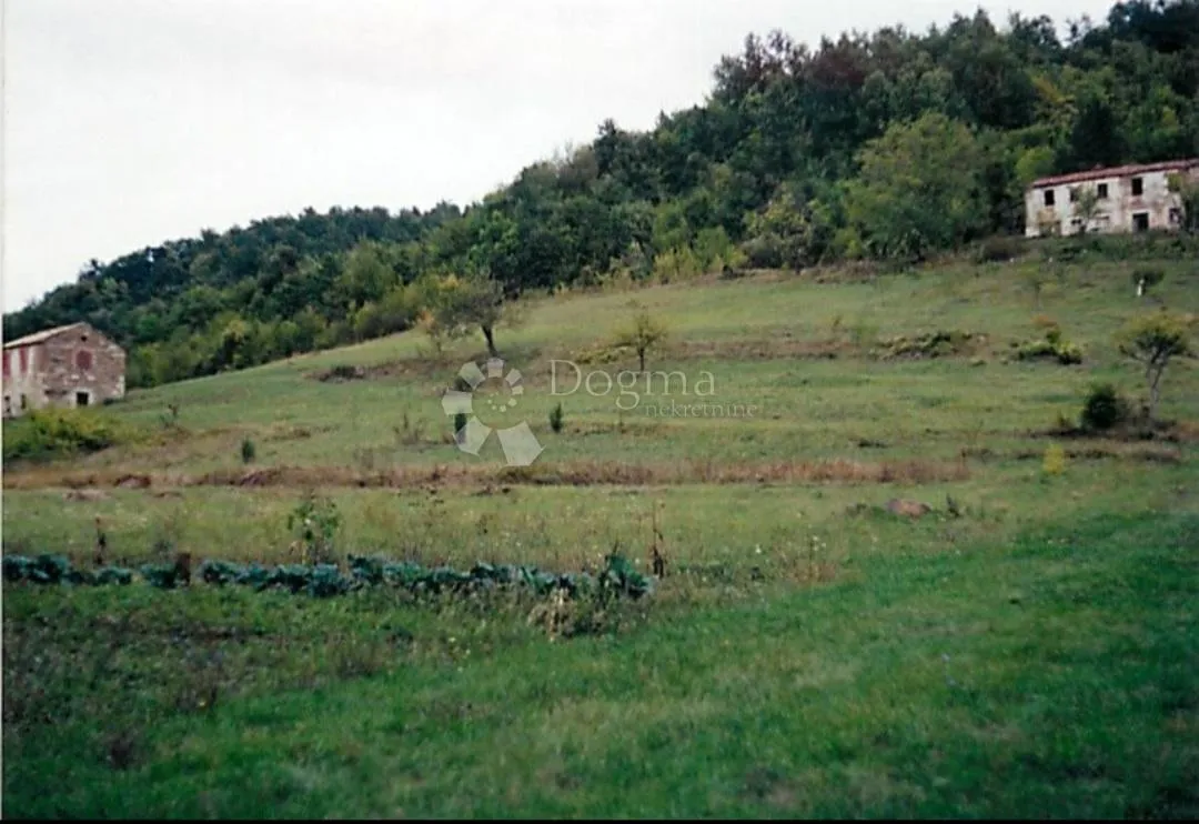 veliko imanje - središnja istra - slika 4