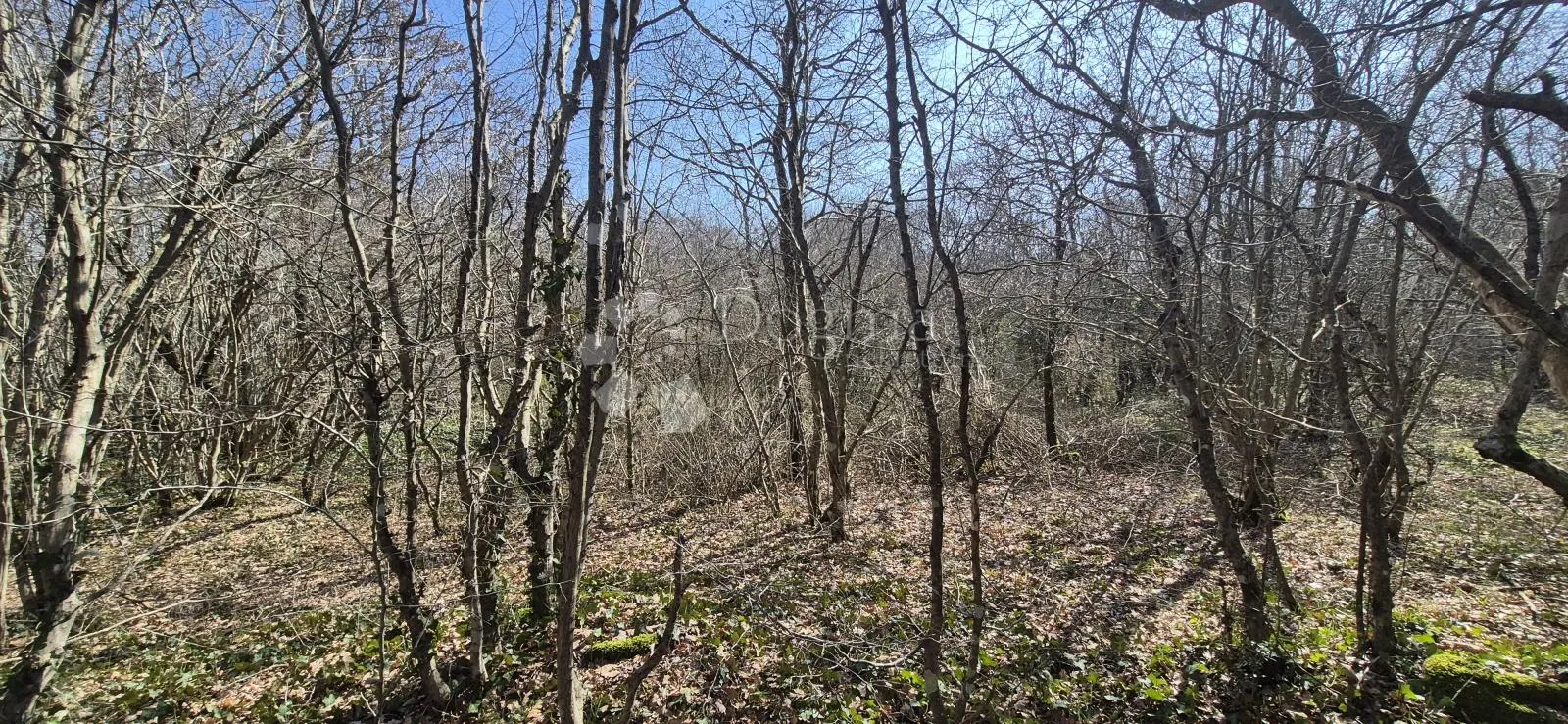 poljoprivredno zemljište površine 23953 m2 sa ogromnim potencijalom - slika 11