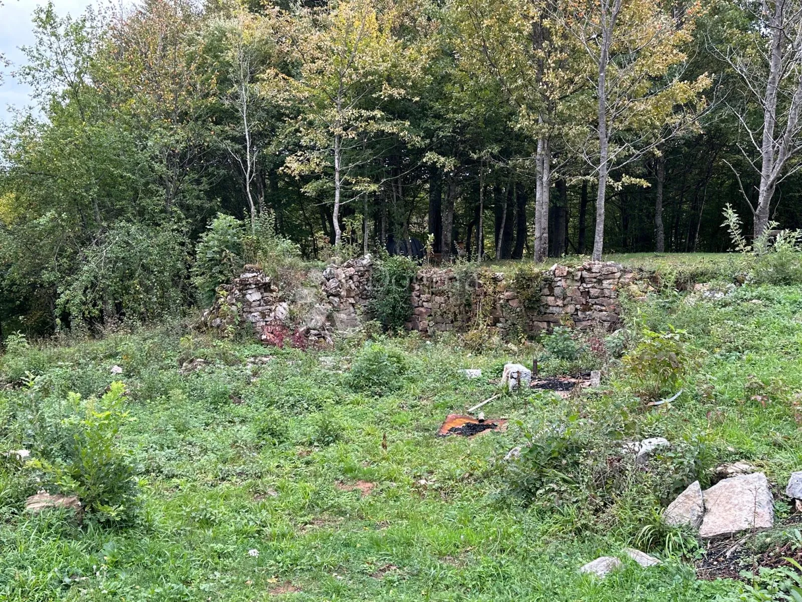 sv rok građevinsko zemljište 50000 m2 - slika 4