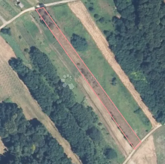 prodaje se zemljište 2.877 m² s borovima i lipom! - slika 3