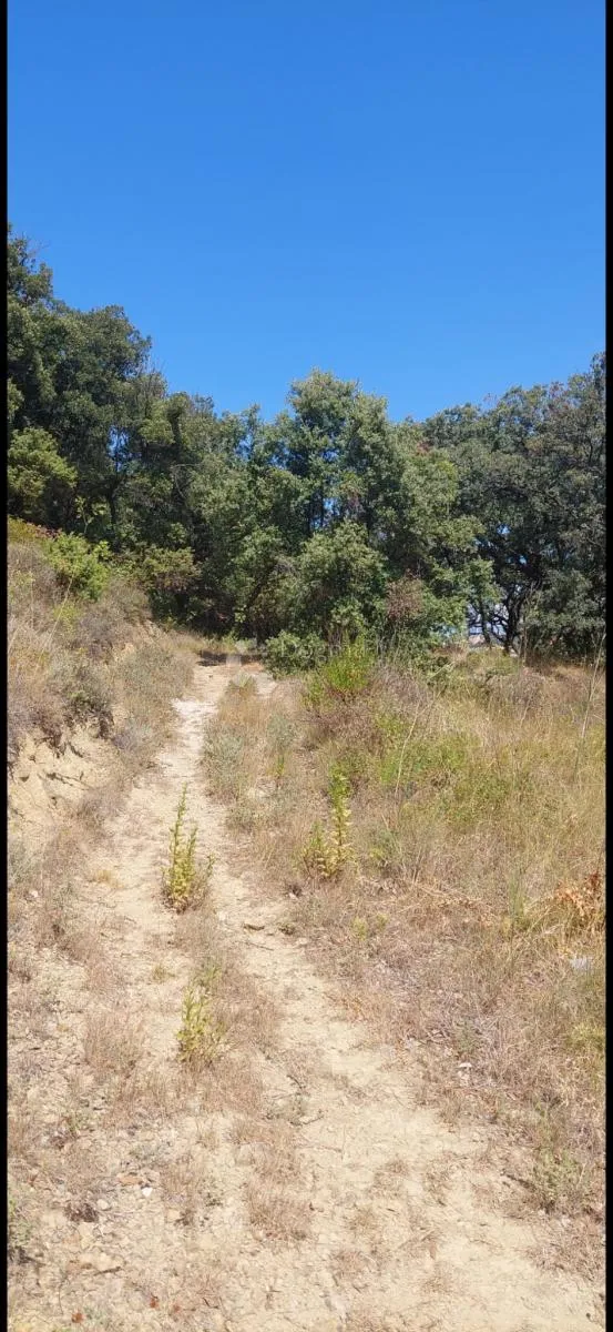 rab 2000m2 - slika 5