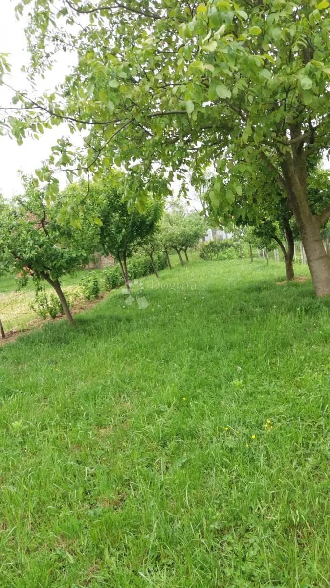 kuća sa voćnjakom u novoj bukovici - slika 9
