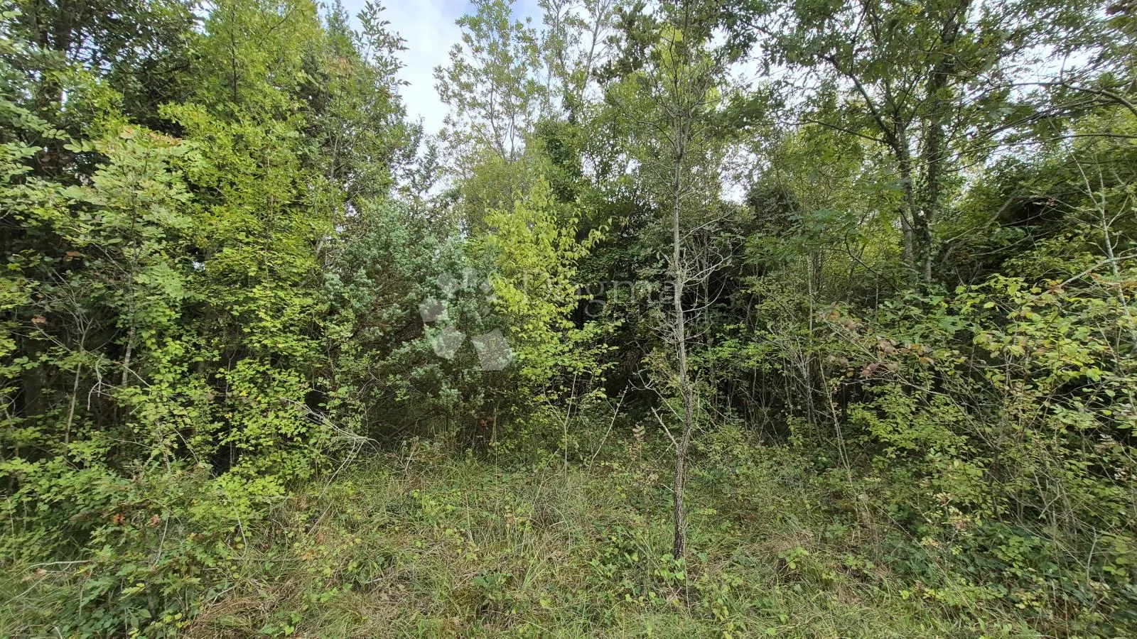 poljoprivredno zemljište 11.980 m2, 600 m od mora - slika 7
