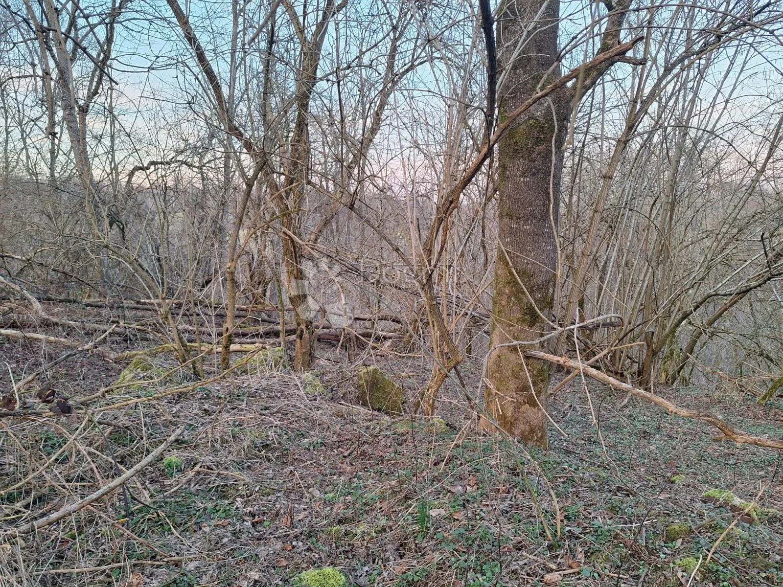 5km od toplica, malo građevinskog, malo poljoprivrednog - slika 3