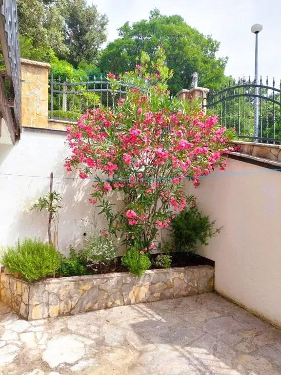 mediteranski dragulj: kuća s apartmanima i pogledom na more - slika 13
