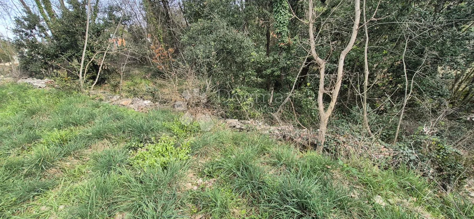 poljoprivredno zemljište 1,5 km od mora - slika 9