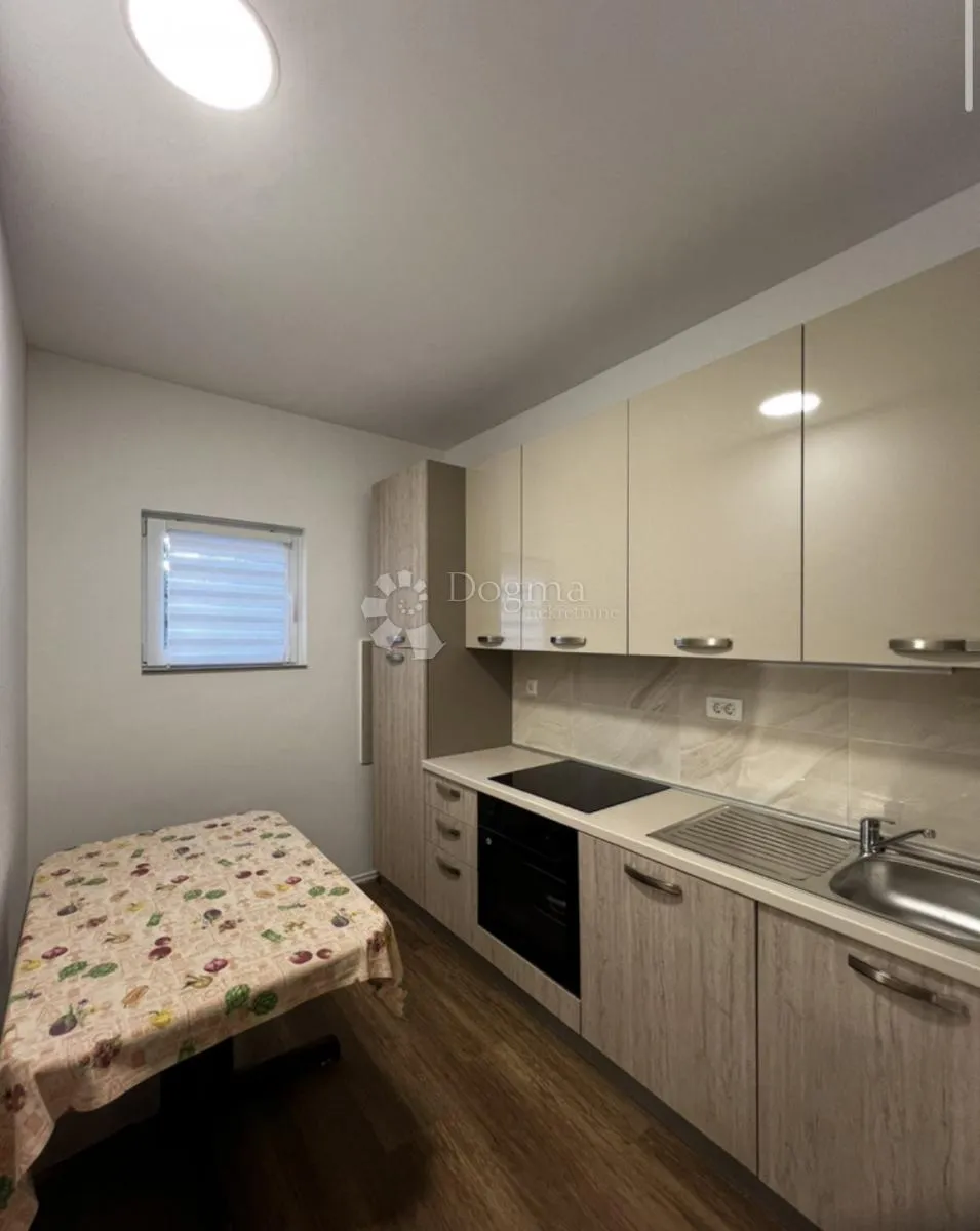2 u 1 nekretnina: 3s+db stan + apartman s okućnicom - slika 14