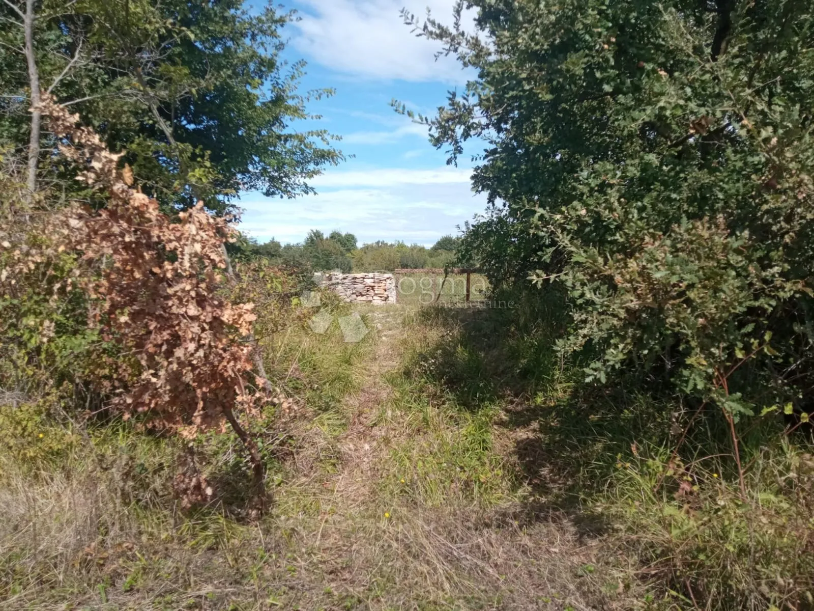 poljoprivredno zemljište na lijepoj lokaciji - slika 2
