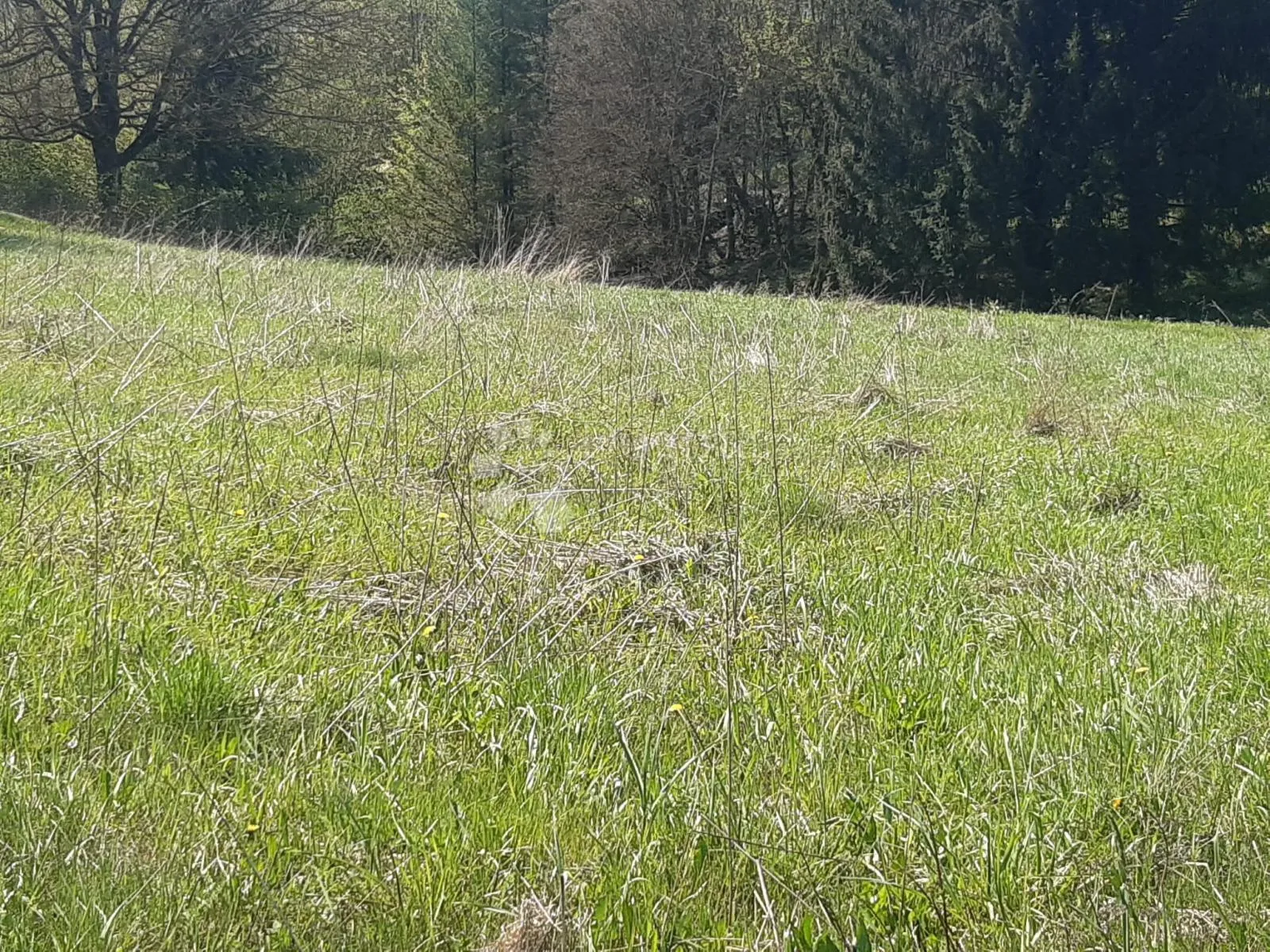 građevinsko zemljište na jezeru sabljaci - slika 8