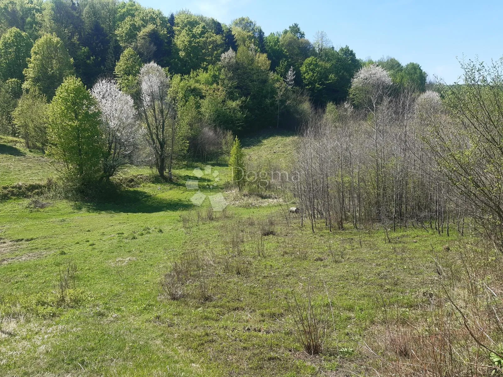 zemljište sa ruševnom kućom - slika 6
