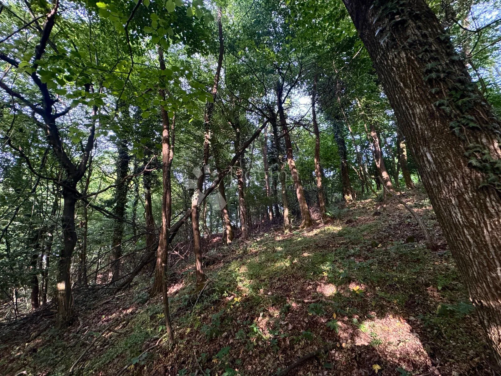 privatno imanje s vinogradima i pogledom na varaždin - slika 19