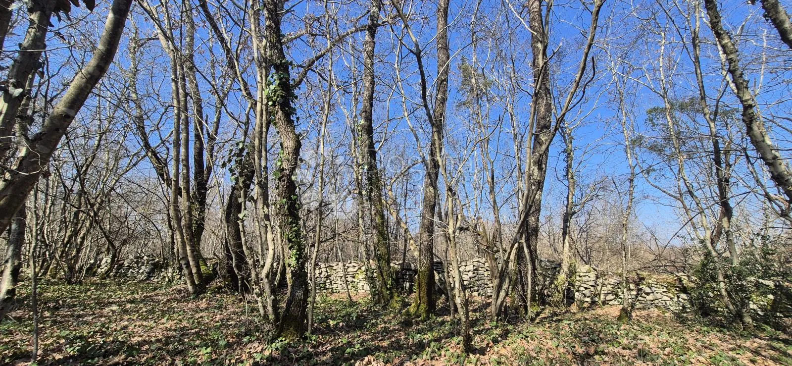 poljoprivredno zemljište površine 23953 m2 sa ogromnim potencijalom - slika 9
