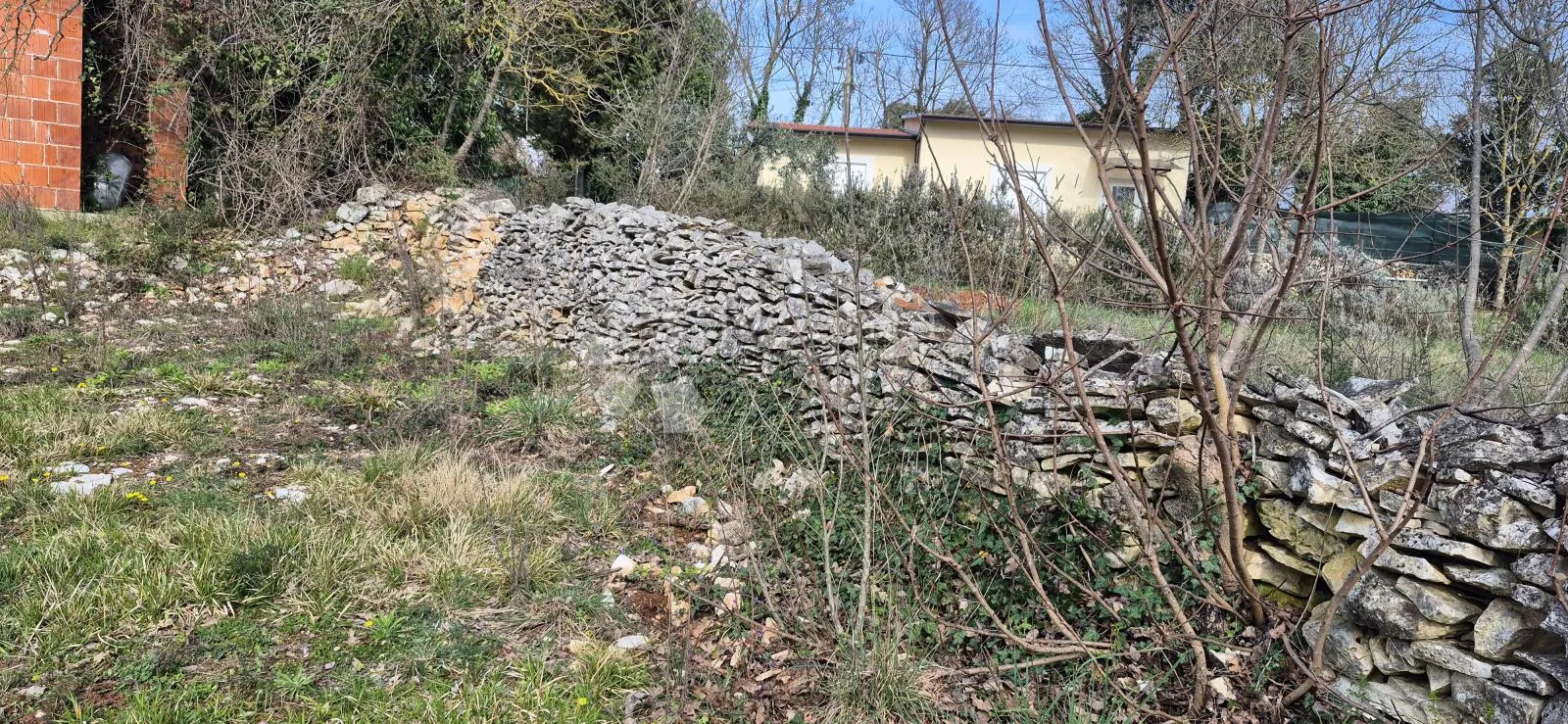 građevinsko zemljište na samo 1,5 km od mora sa 6 stoljetnih maslinama - slika 8