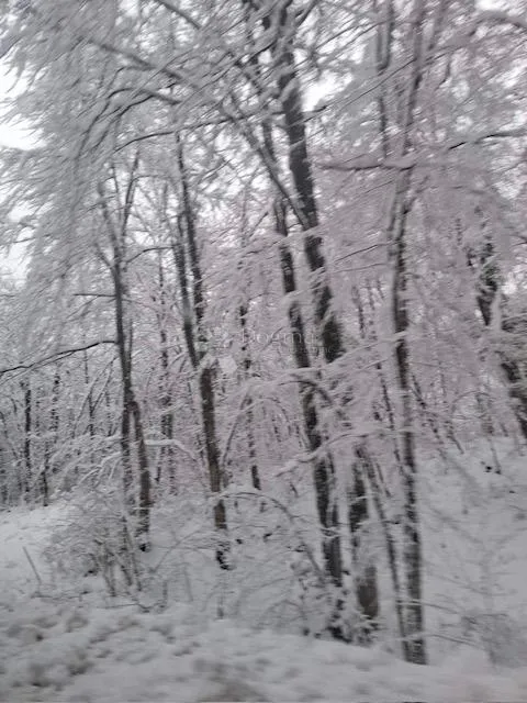 ogulin - poljoprivredno zemljište s potencijalom - slika 11