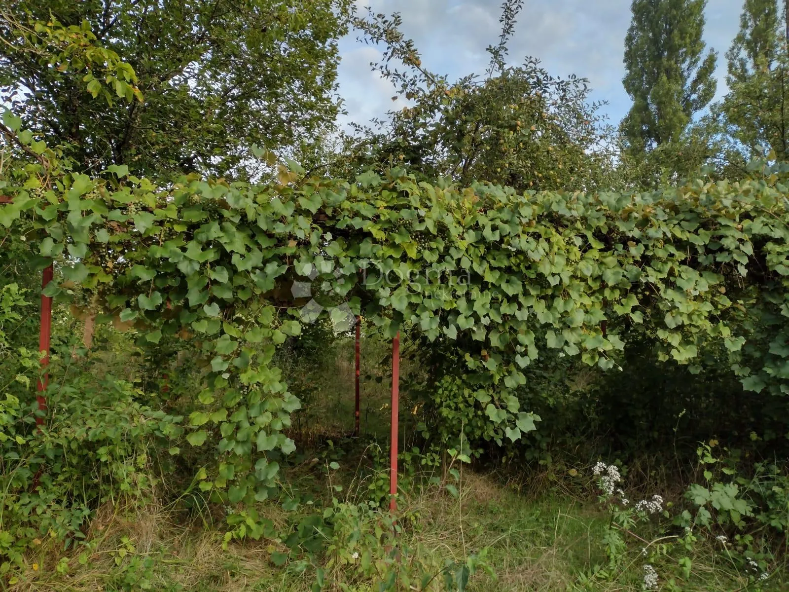 topusko, staro selo - puno građevinskog zemljišta - slika 17