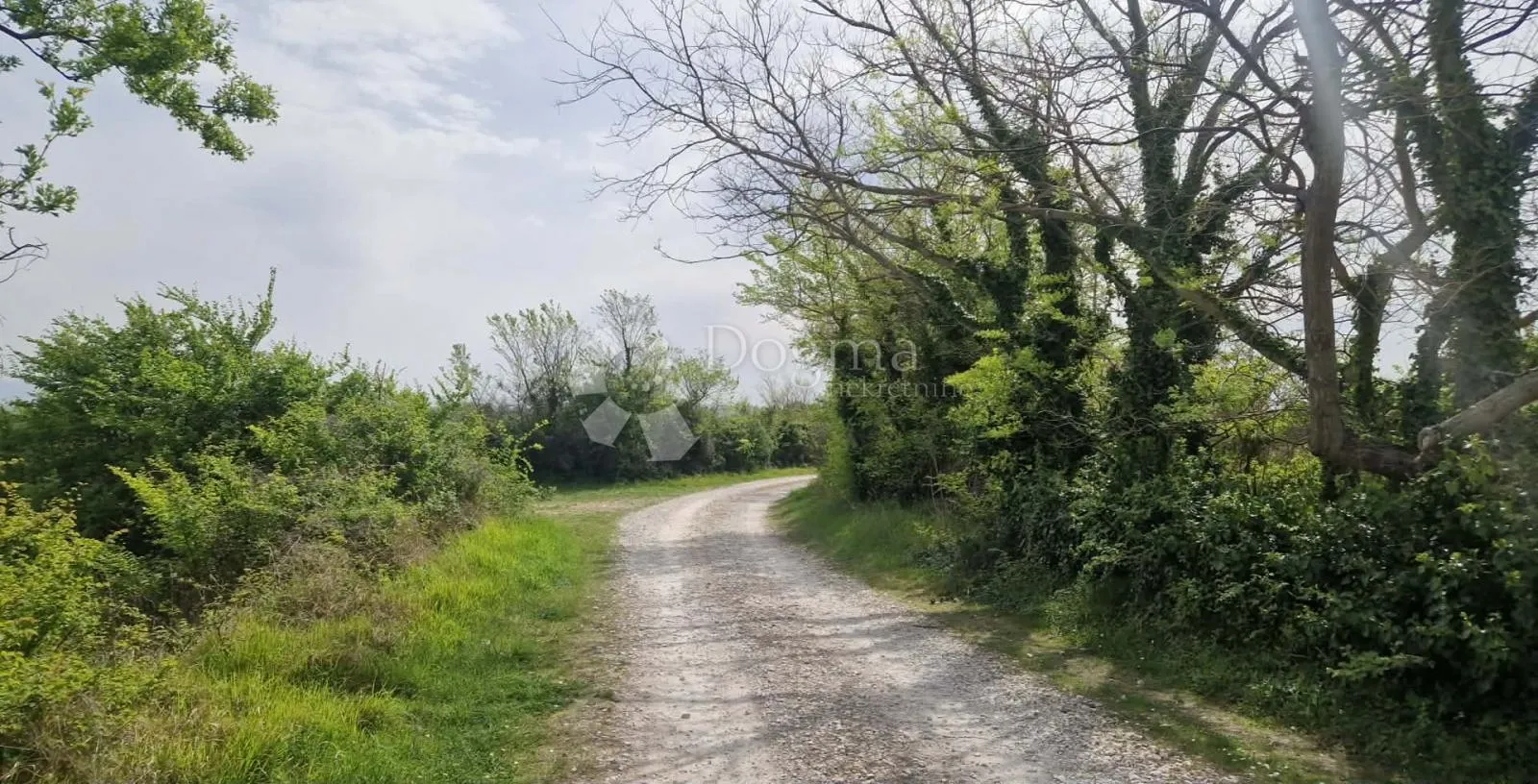 smoković - poljoprivredno zemljište 6031 m2 - prodaja - slika 7