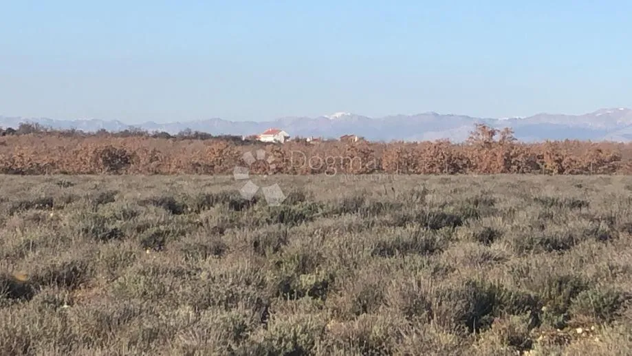 plodno poljoprivredno zemljište 21 ha – gornje raštane, lavanda, eu fondovi - slika 6