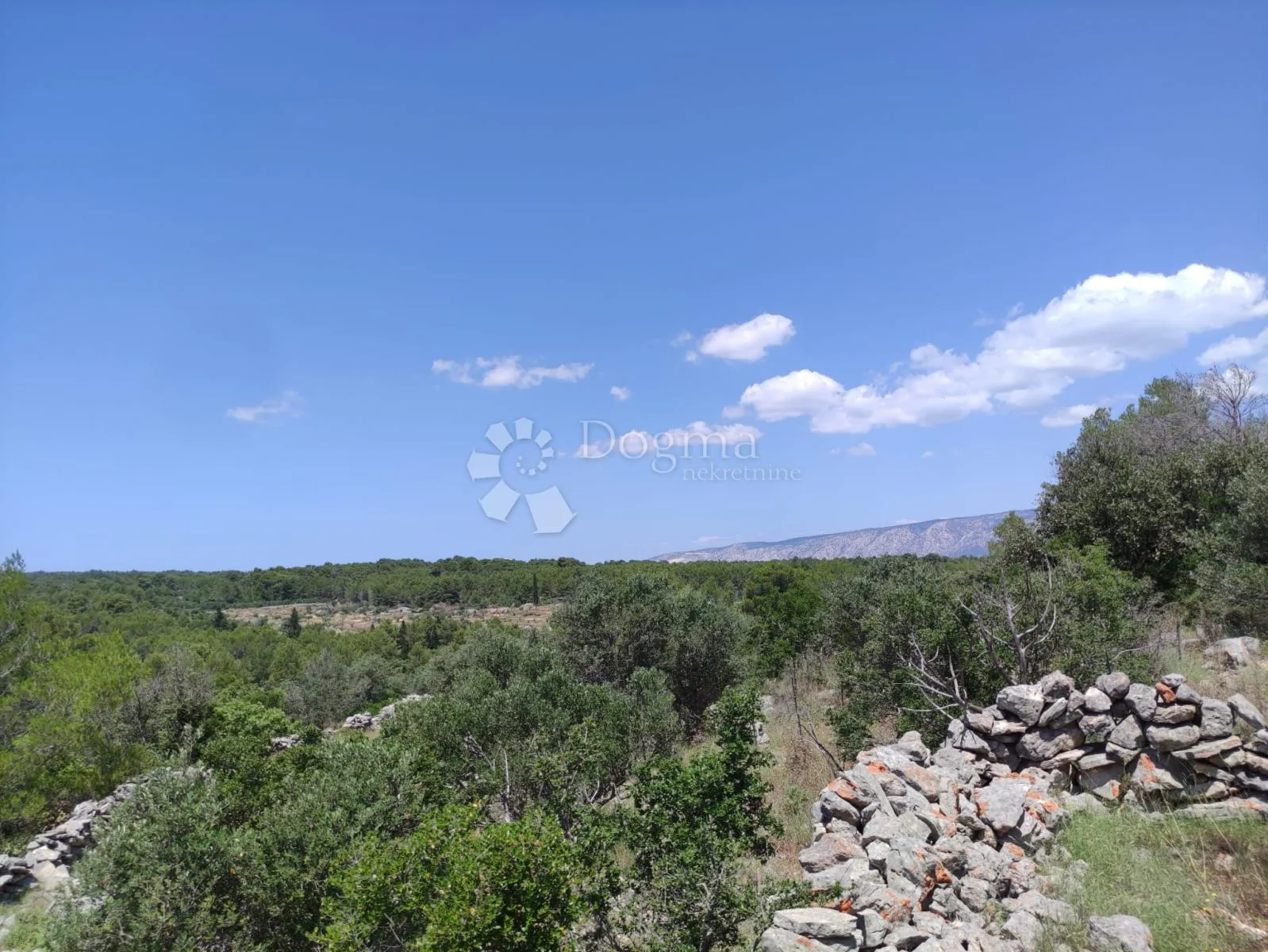 otok hvar - poljoprivredno zemljište na prodaju - prilika - slika 2