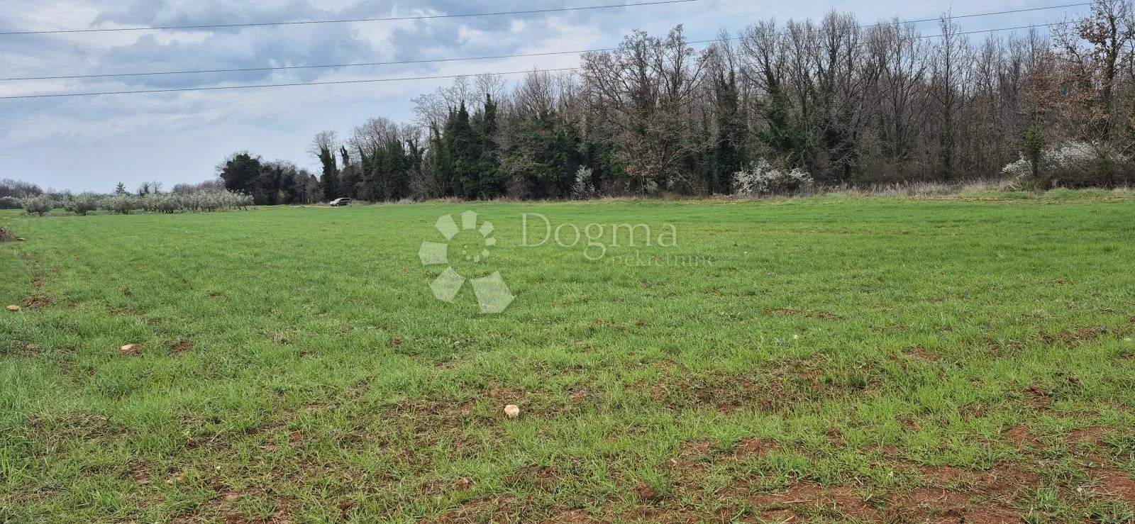 zemljište sa 60 maslina površine 10200 m2 - slika 22