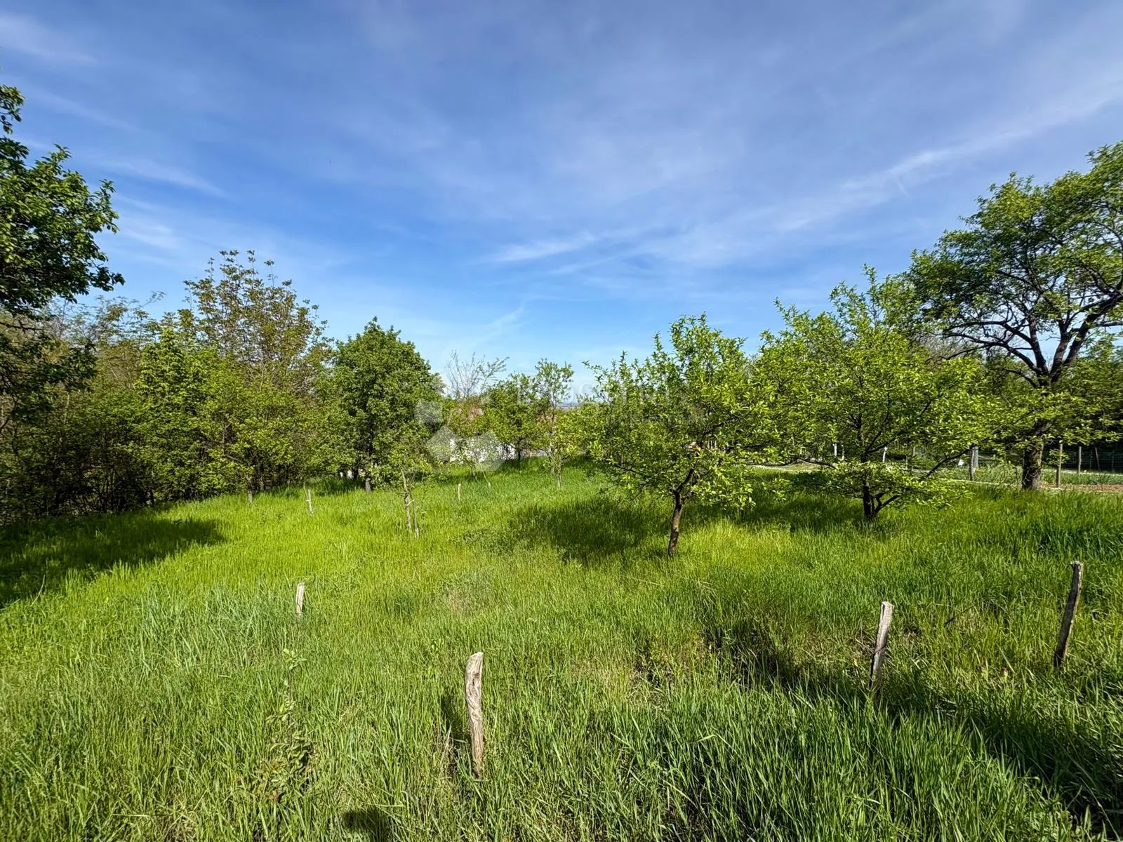 oaza mira i privatnosti – vikendica s vinogradom i 3.797 m² okućnice - slika 40