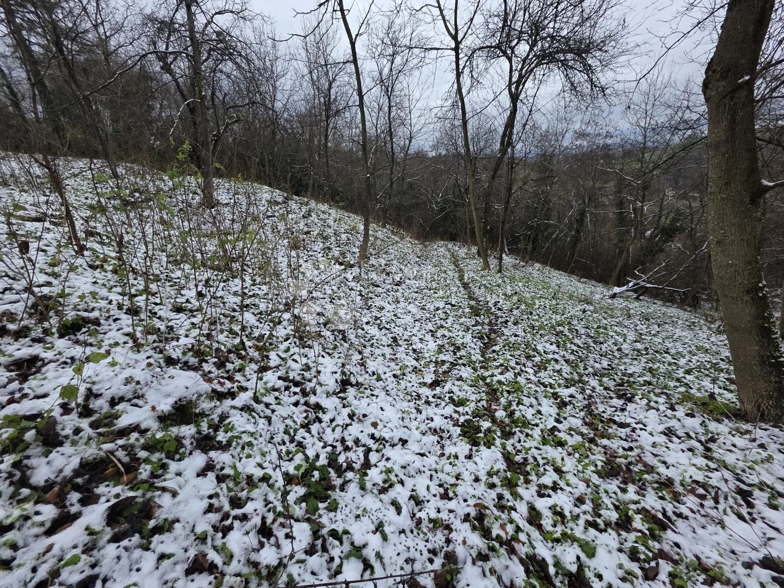 građevinsko zemljište s projektom u netaknutoj prirodi, blizu krapinskih toplica - slika 2