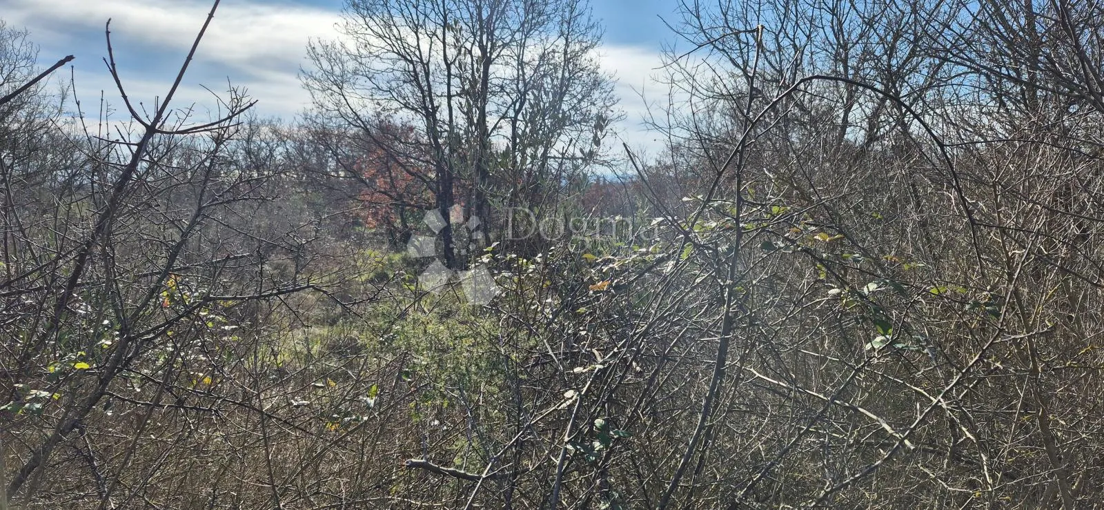 kombinirano građevinsko zemljište 850 m2 i poljoprivredno zemljište 3726 m2 - slika 7