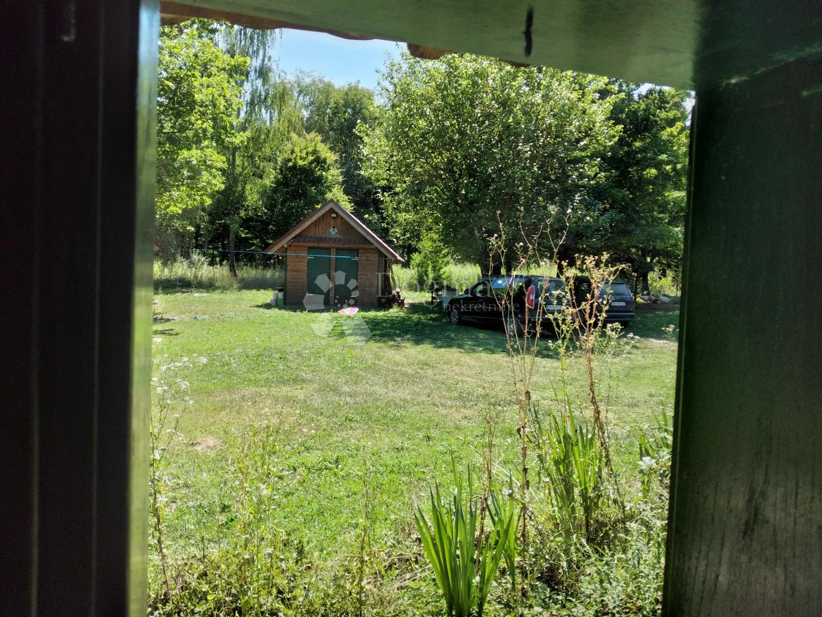 šumska vila - slika 6