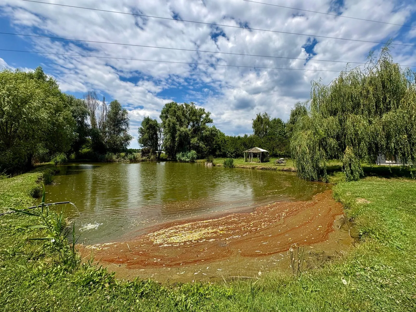 atraktivno imanje s ribnjakom i turističkim potencijalom - slika 41
