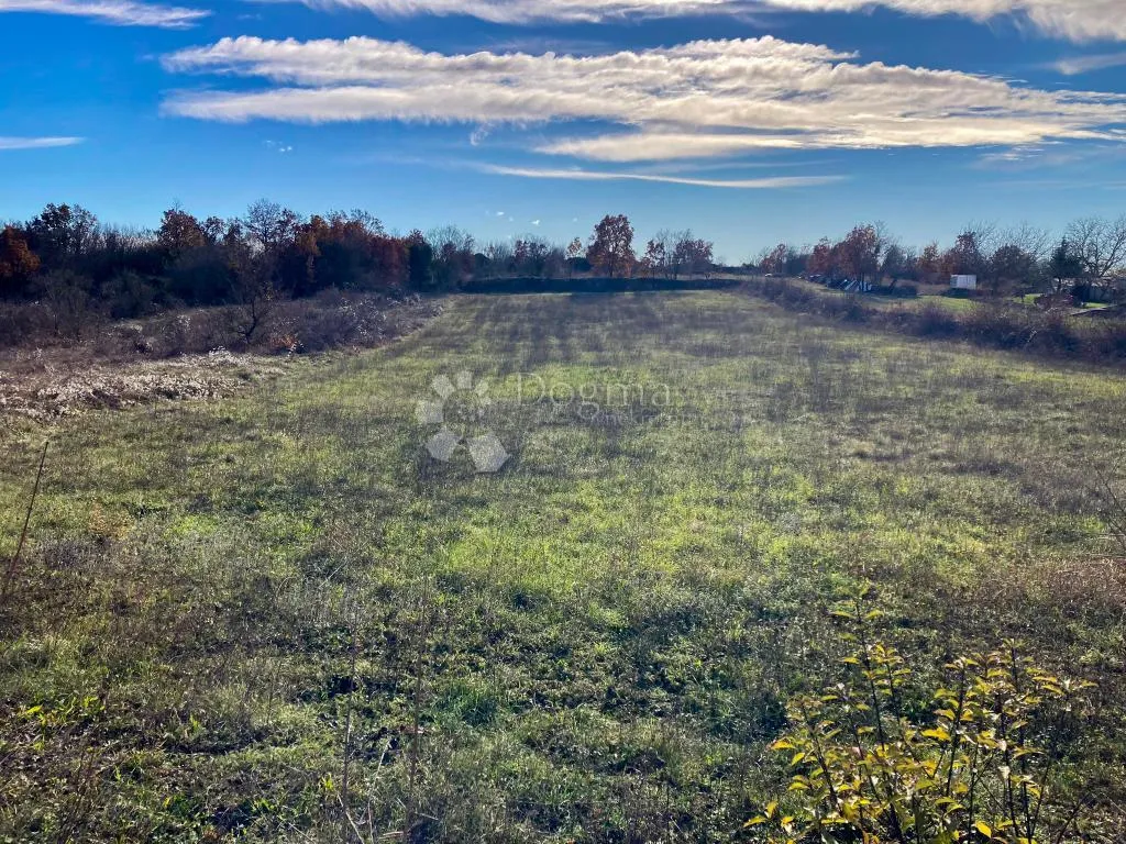 građevinsko zemljište ,okolica kanfanara 691m2! - slika 2