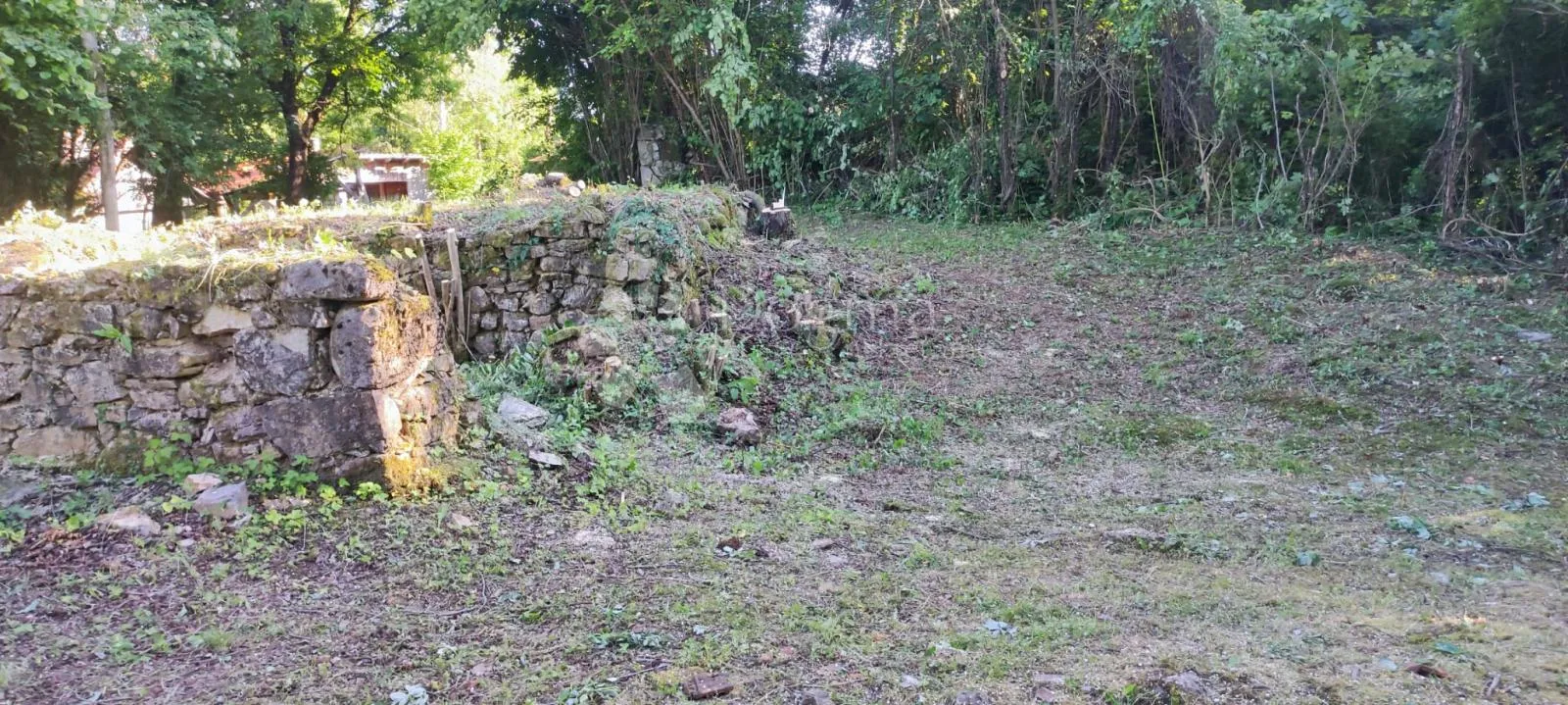 Raj za pčelare i ljubitelje prirode - Tržić Tounjski, Tounj