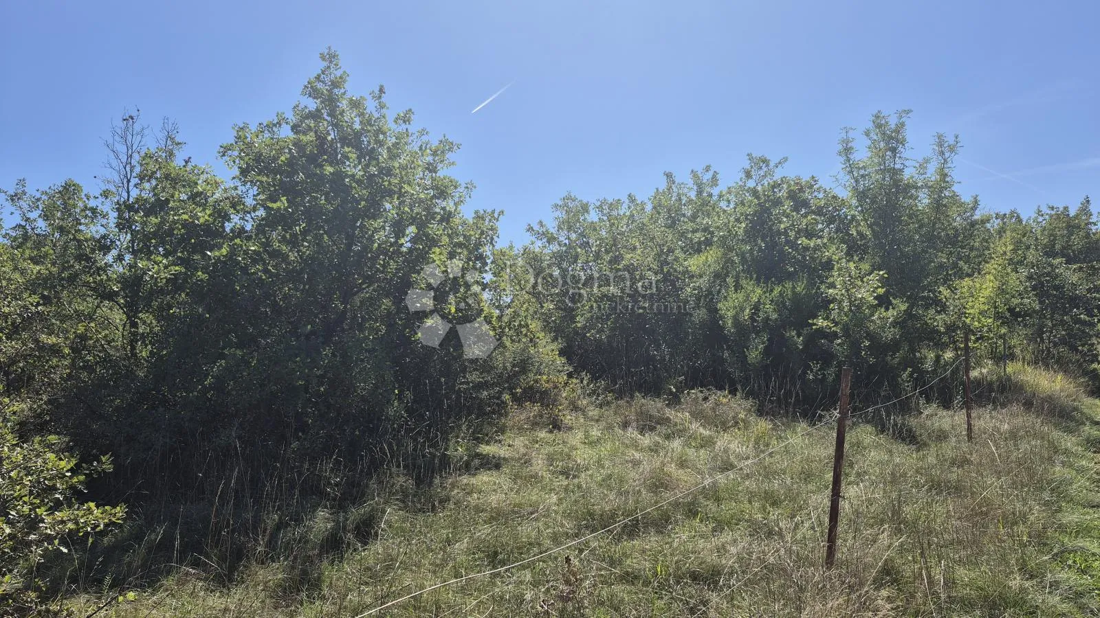 poljoprivredno zemljište nedaleko istarskog ipsilona 2913 m2 - slika 3