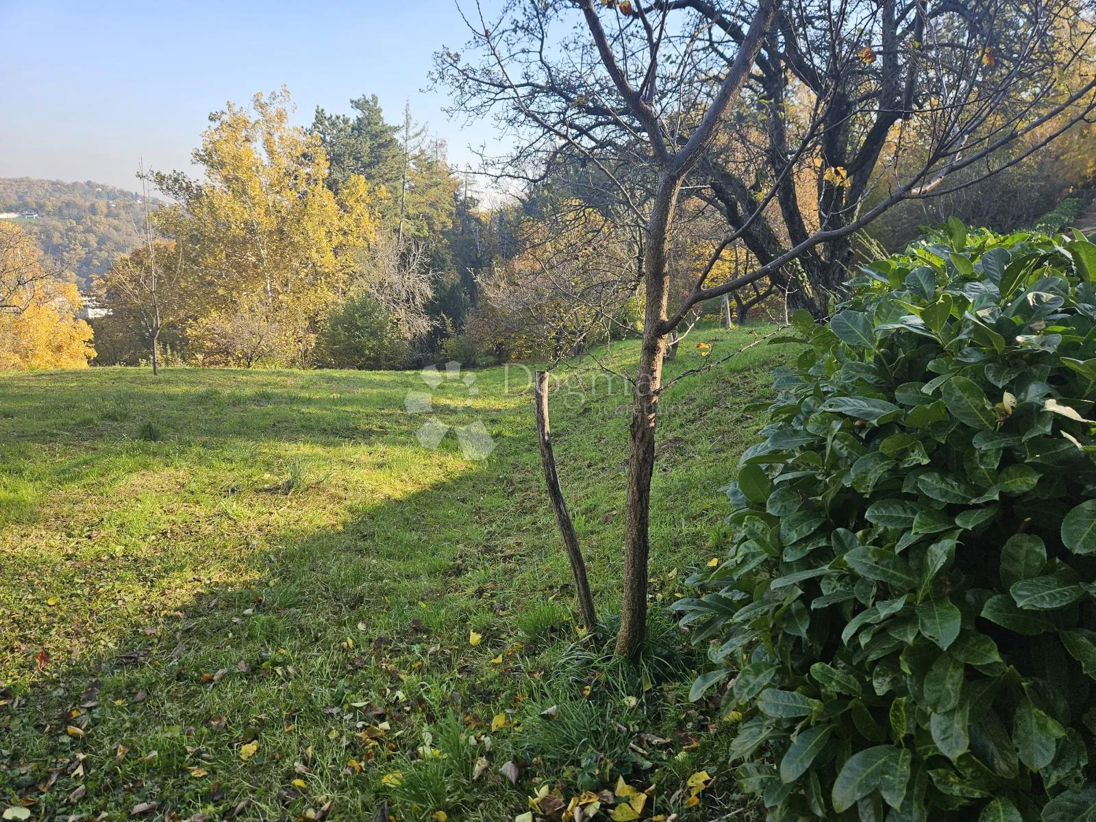 pogled govori više od riječi - slika 24