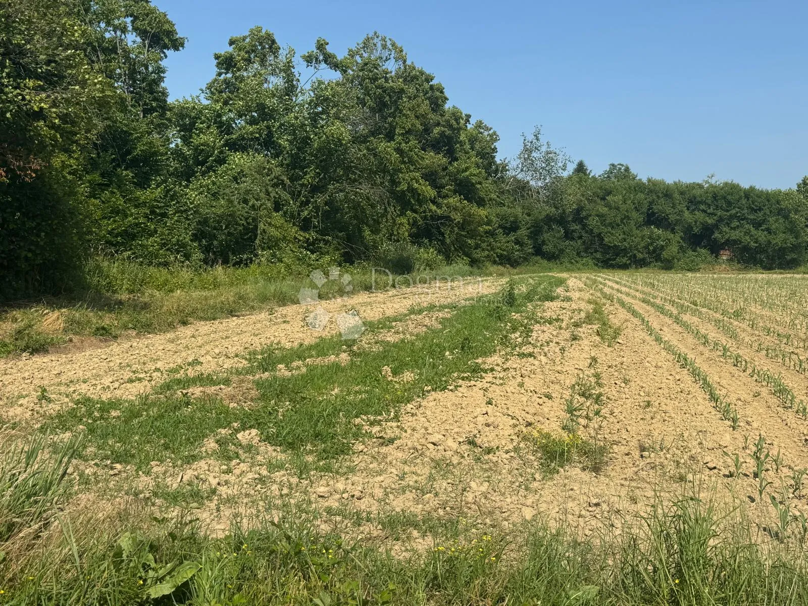 veliko imanje 39.323 m² – mir, priroda i potencijal! - slika 23