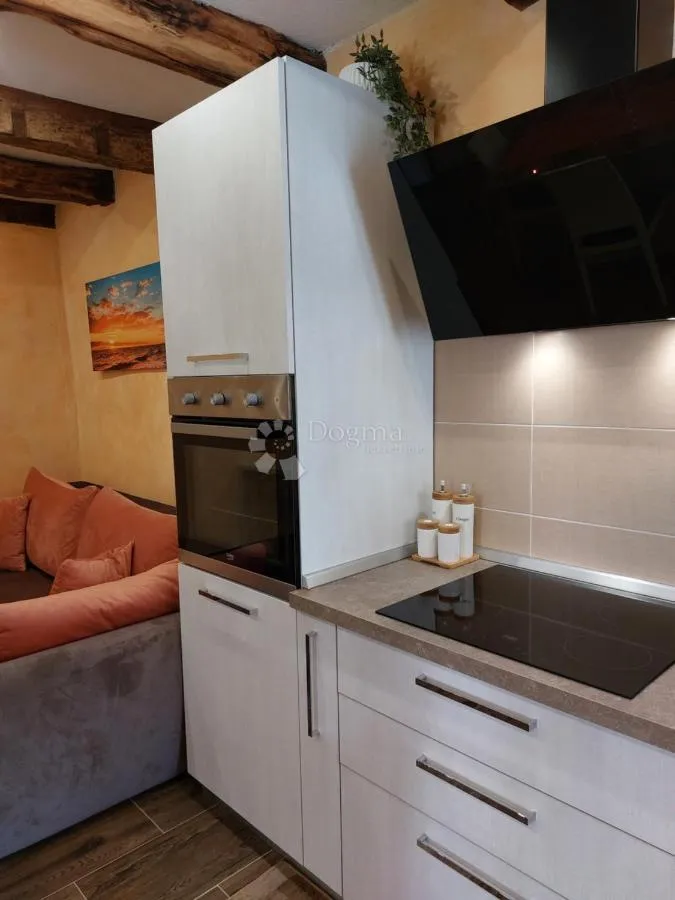 kuća s renoviranim stanom i građevinskim zemljištem, 5 minuta od pazina - slika 19