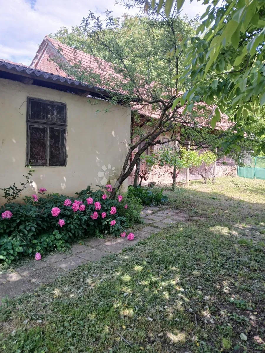 tradicionalna kuća s velikom okućnicom u đurđevcu - slika 12