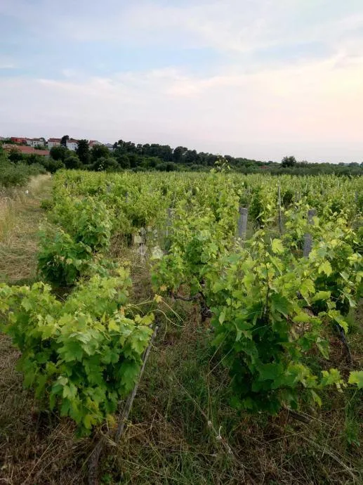 građevinsko zemljište u benkovcu – 1.871 m², pristupačna lokacija - slika 3
