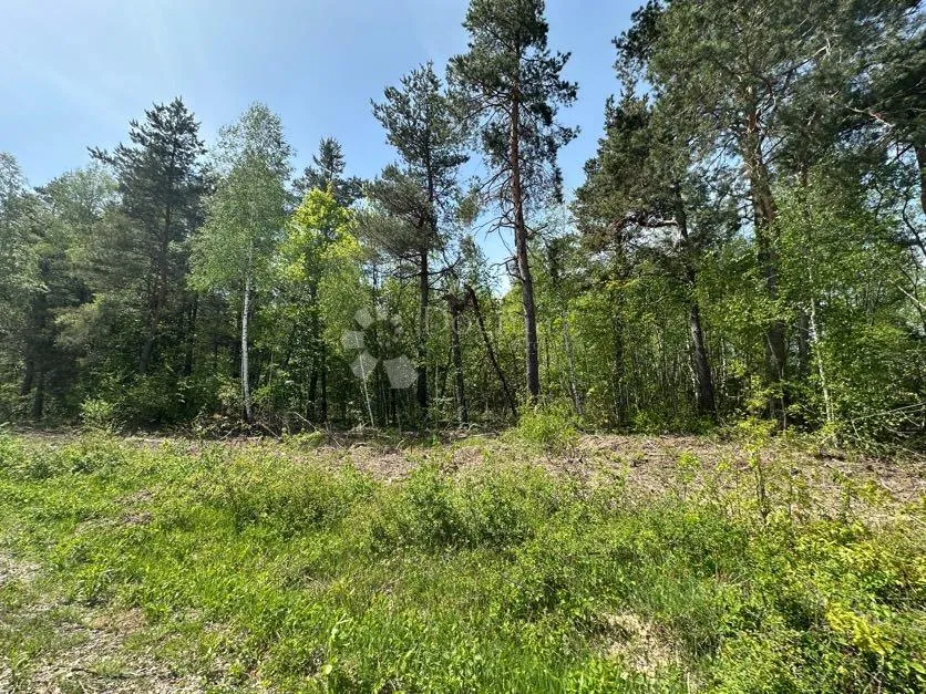 zemljište 10000m2 moguća parcelacija priroda pogled !!! - slika 4