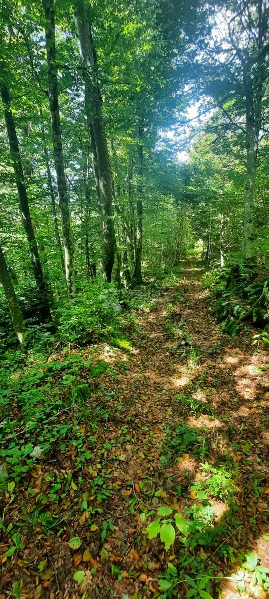 zlobin, gorski raj za robinzonski turizam - slika 10