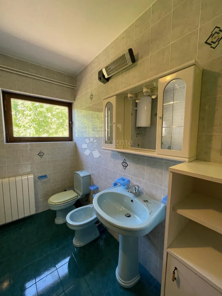 komadić raja koji traži pažnju - slika 12