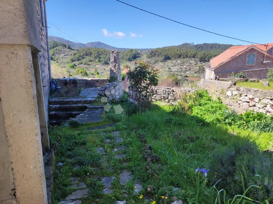 kuća za adaptaciju - hvar, vrisnik - slika 3