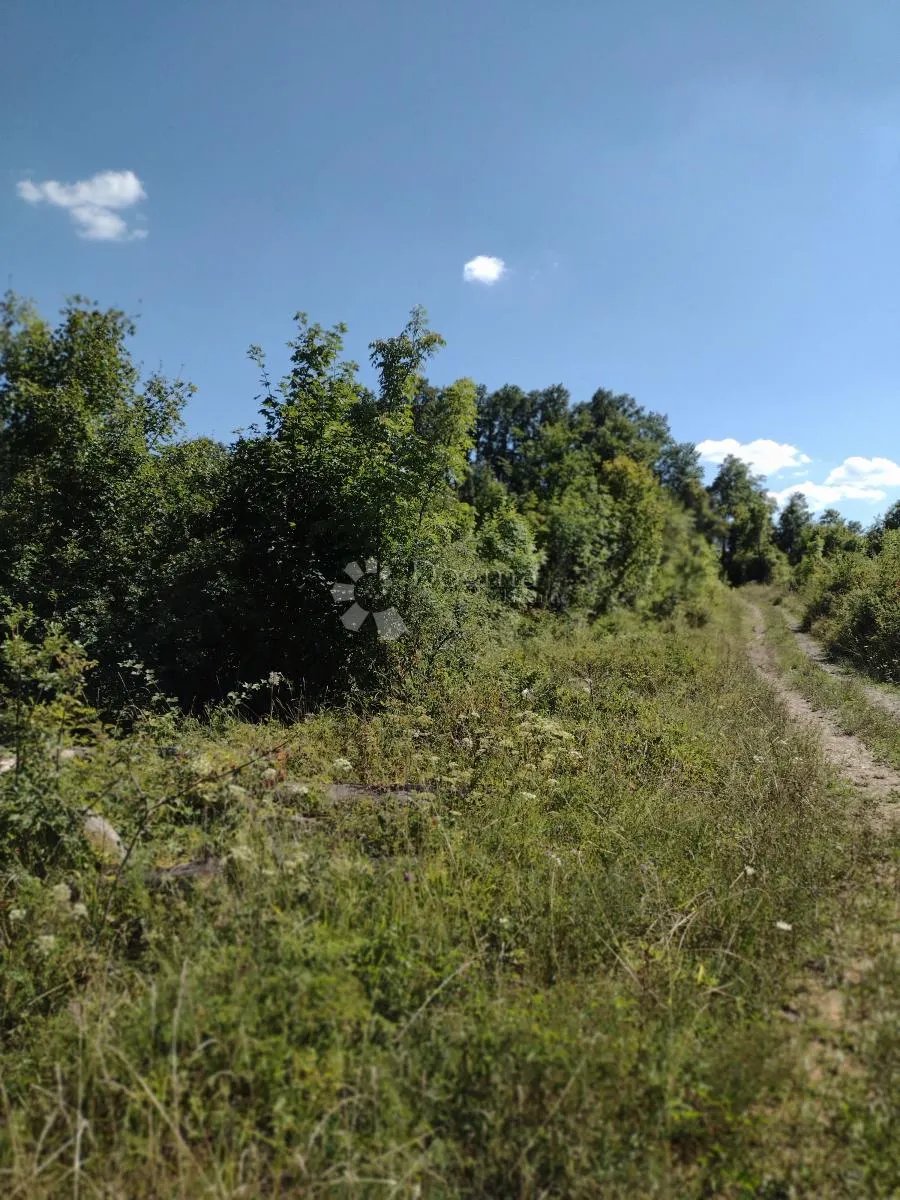 30ha u komadu - rijetkost - slika 5