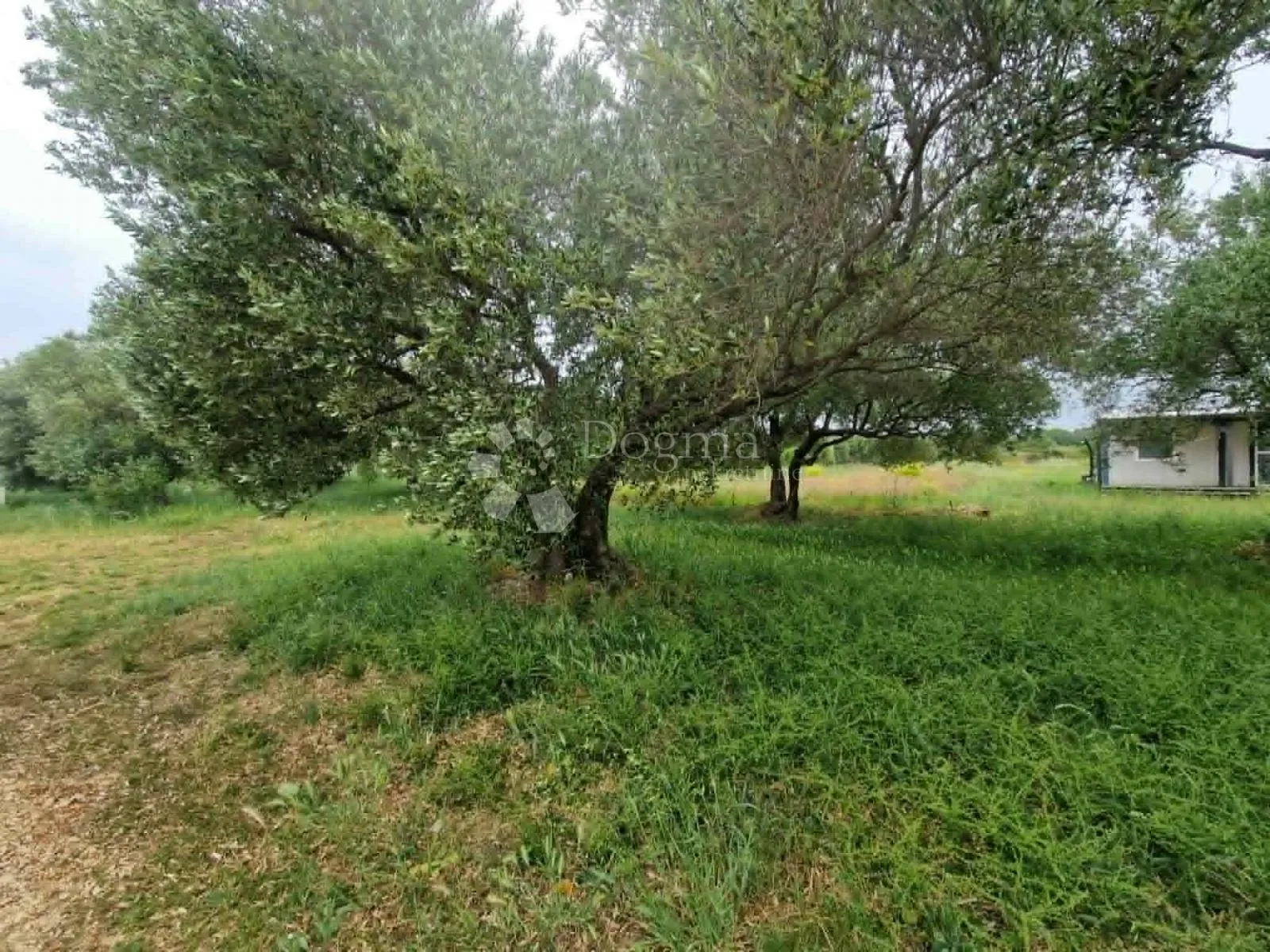 biograd/turanj - građevinsko zemljište 728 m2 - slika 12
